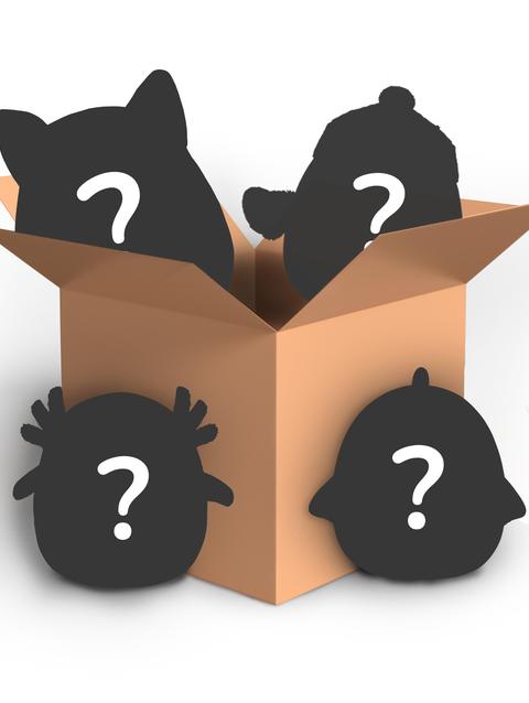 Jazwares Mystery Box 4 Pack - 8 Inch New Arrival