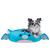 Jazwares Tatiana The Dragon Pet Bed For Sale