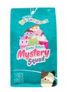 Jazwares 5-Inch Scented Mystery Bag Same Day Delivery