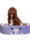 Jazwares Bubba the Cow Pet Bed Best Price