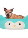 Jazwares Winston the Owl Pet Bed High Quality