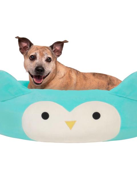 Jazwares Winston the Owl Pet Bed High Quality